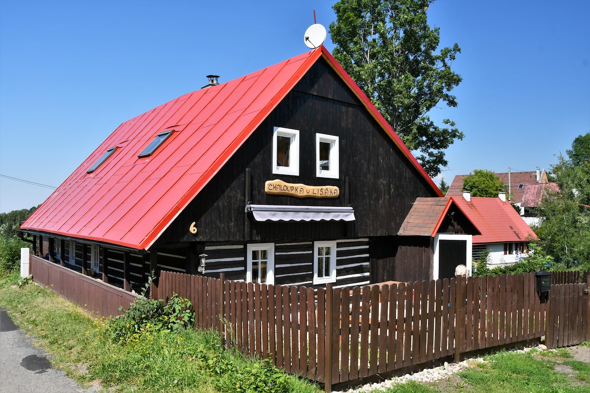 郁郁葱葱的小屋