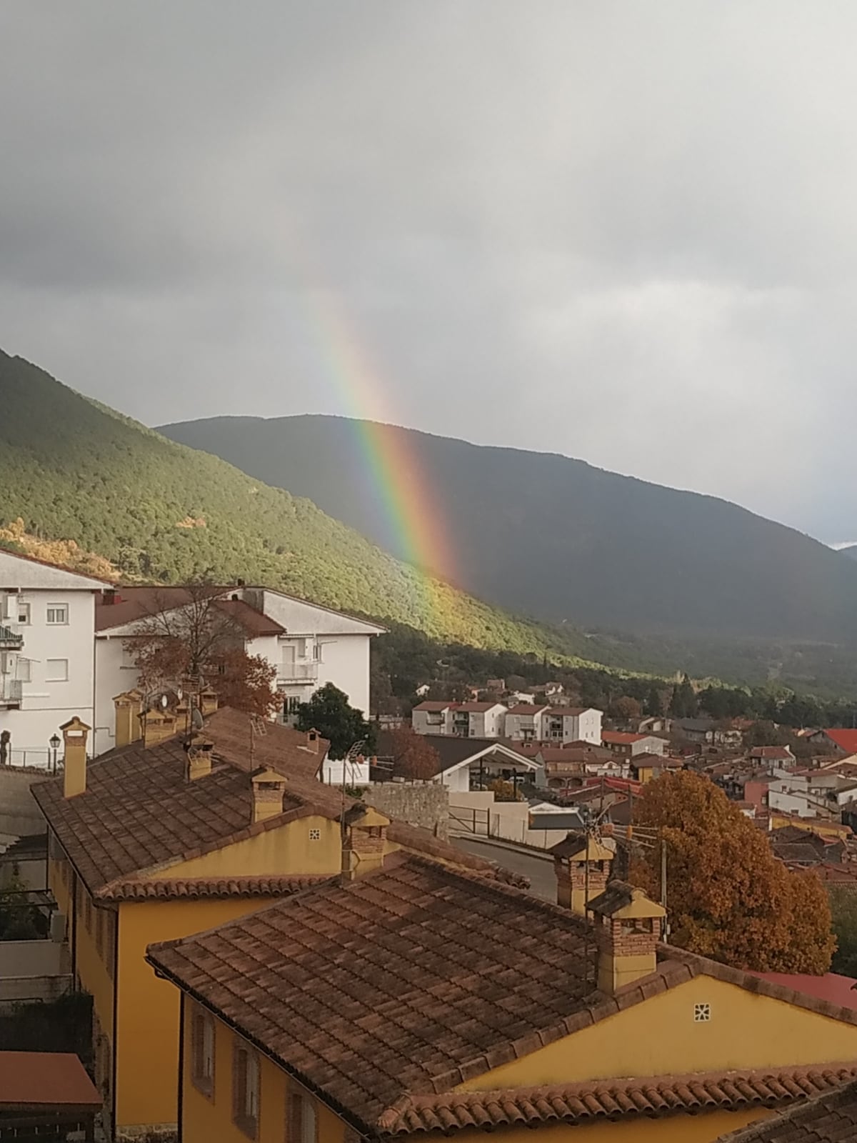 Luminoso hogar en la naturaleza