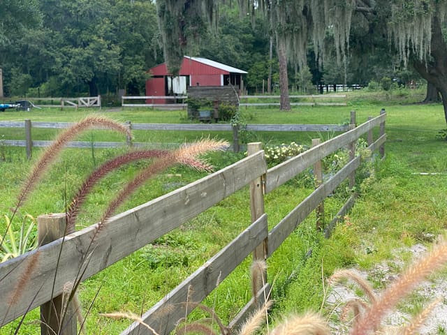 温特黑文(Winter Haven)的民宿