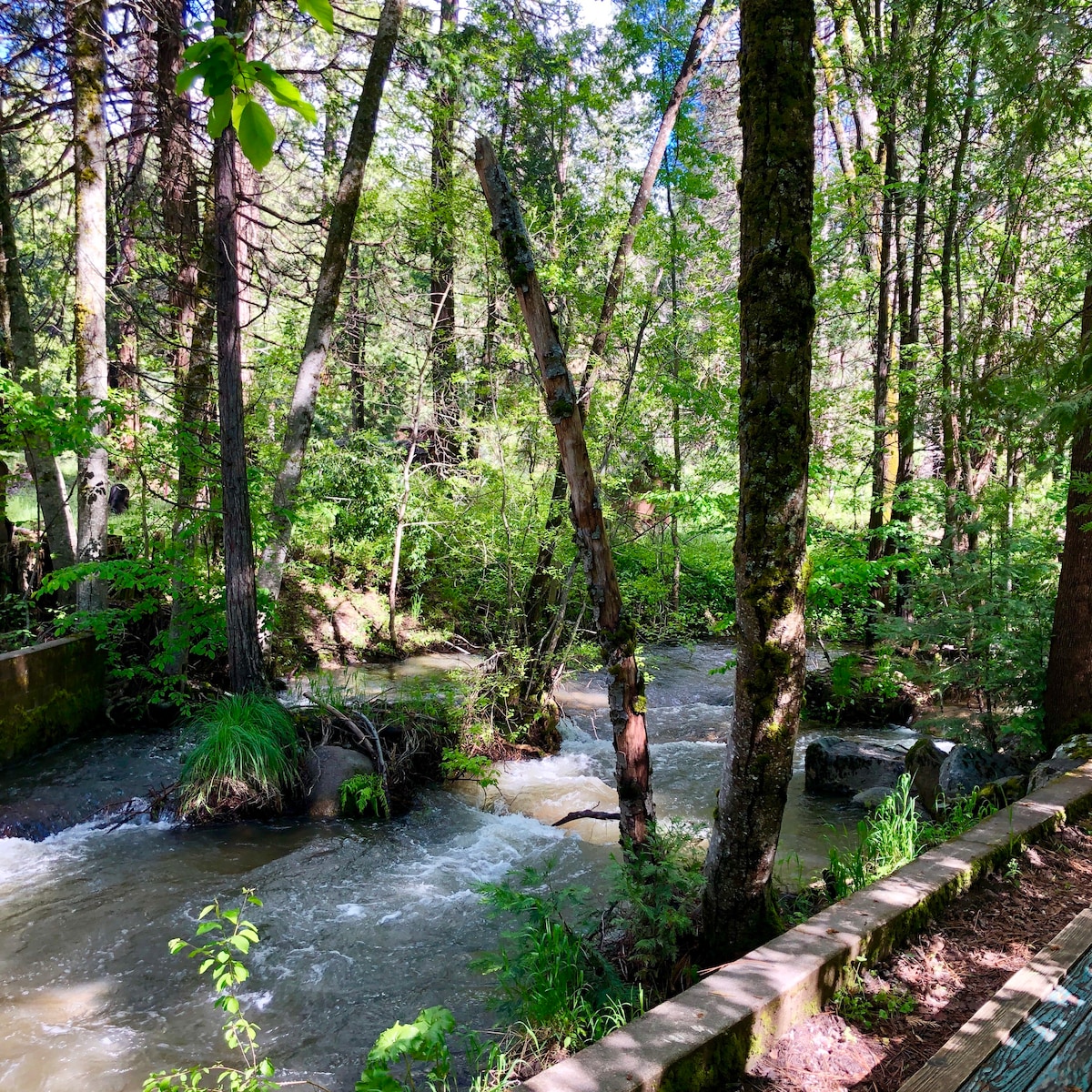 Creekside Yosemite Cabin -大自然就在您的家门口