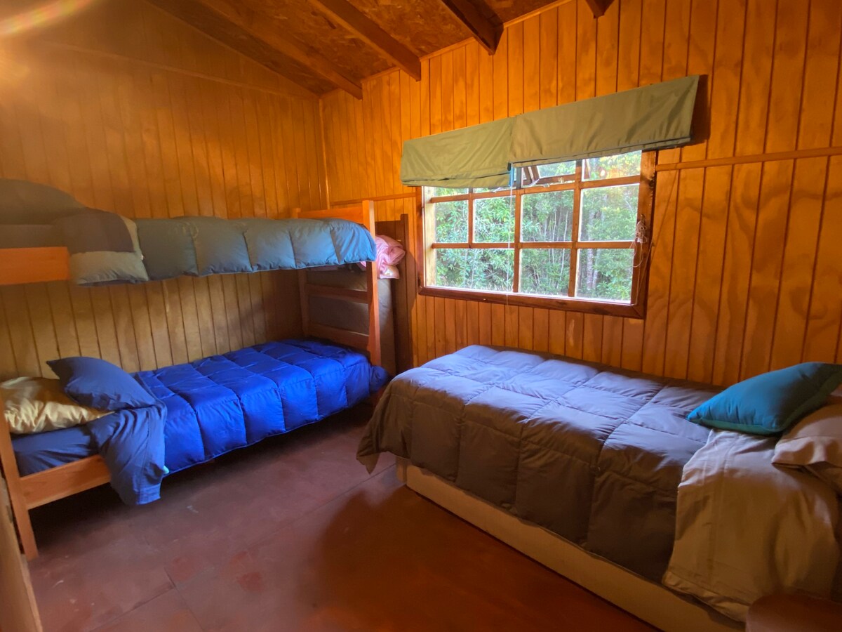 Refugio Austral1 - Andean Larch