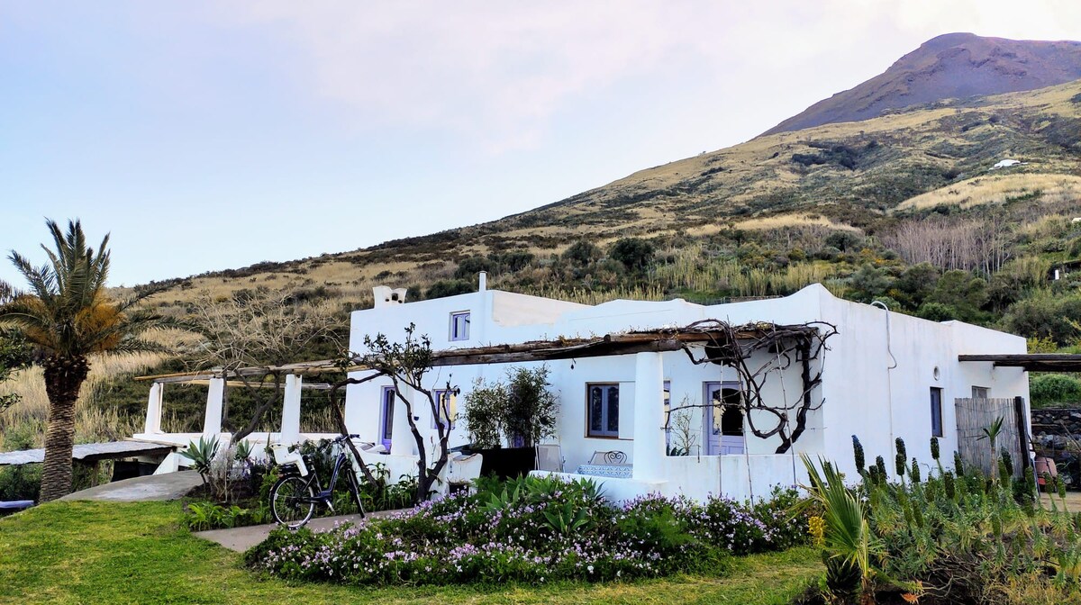 典型的Aeolian House -海景