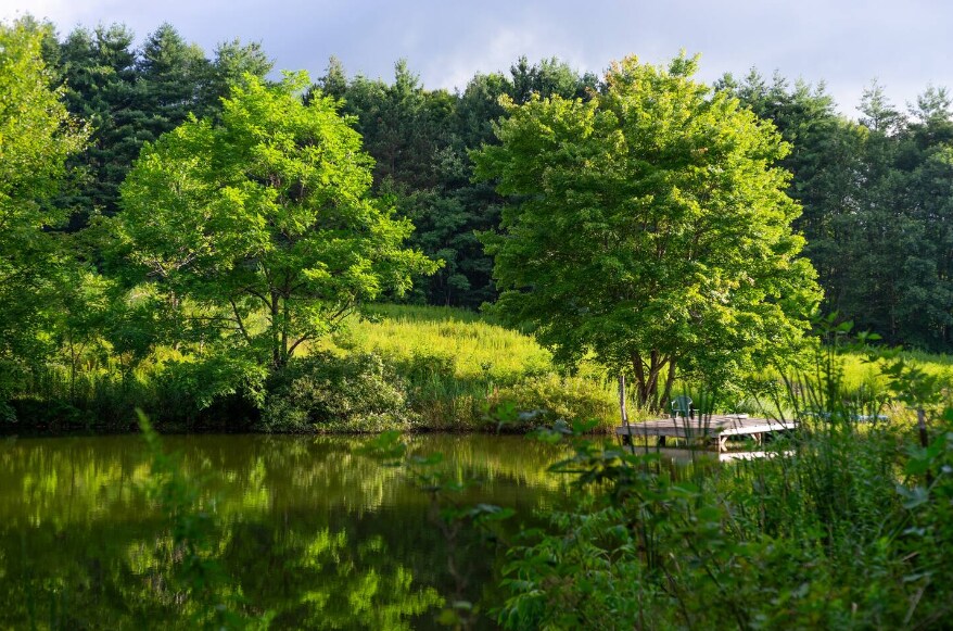 White Oak Acorn - YMC 500英亩植物保护区