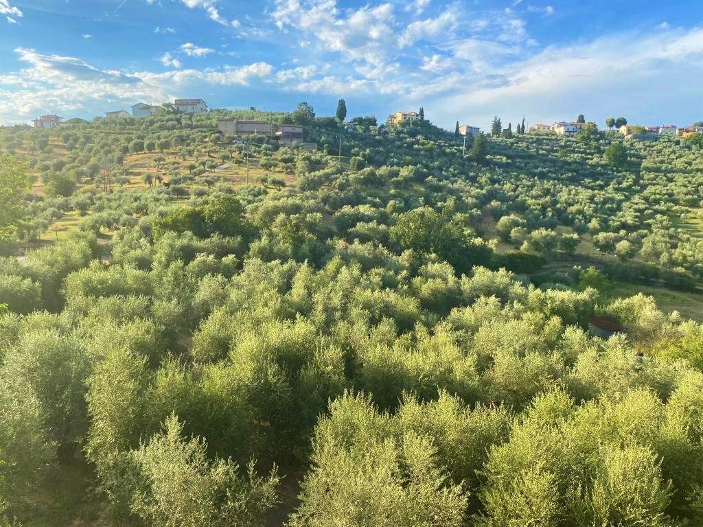 Casa tranquilla colonica toscana vicino a Firenze