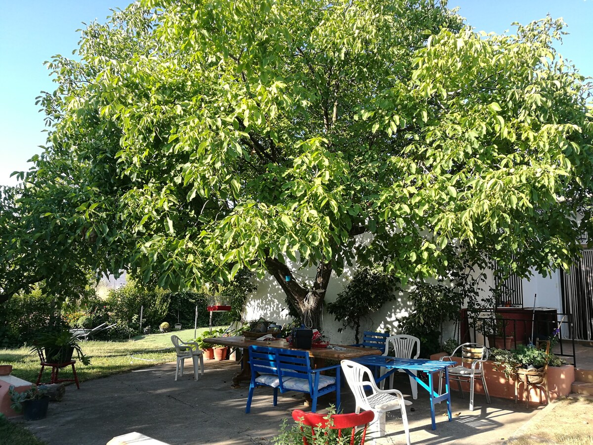 La bodega, casa con jardín y piscina.