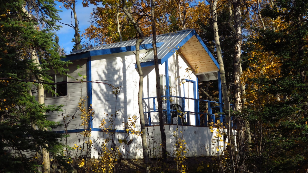 Denali Oasis - 2 Room Cabin