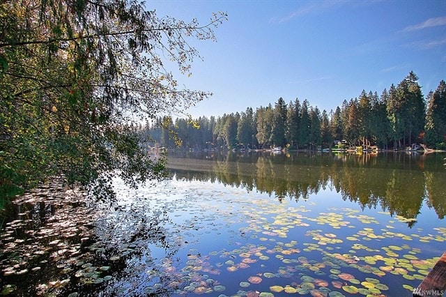 Lakefront private camp site