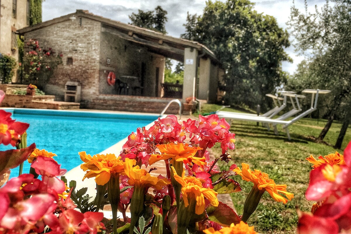 Pasqui Villas ： Tribbio私人住宅泳池无线网络