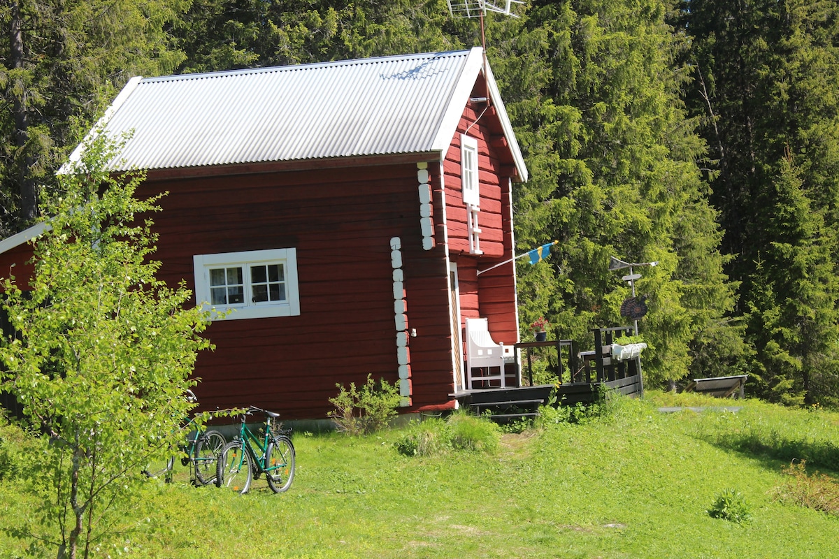 真正的山村Edsåsdalen的舒适草坪