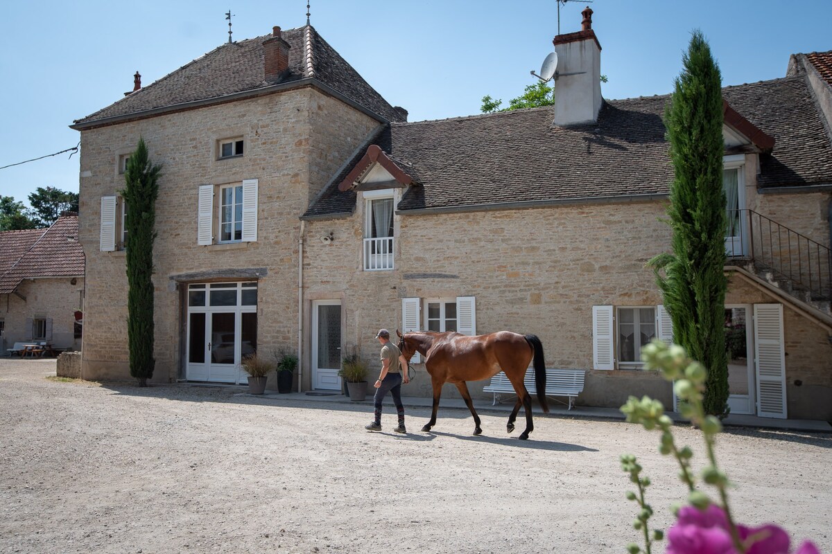 在Haras de Marigny ，与马共度美好时光