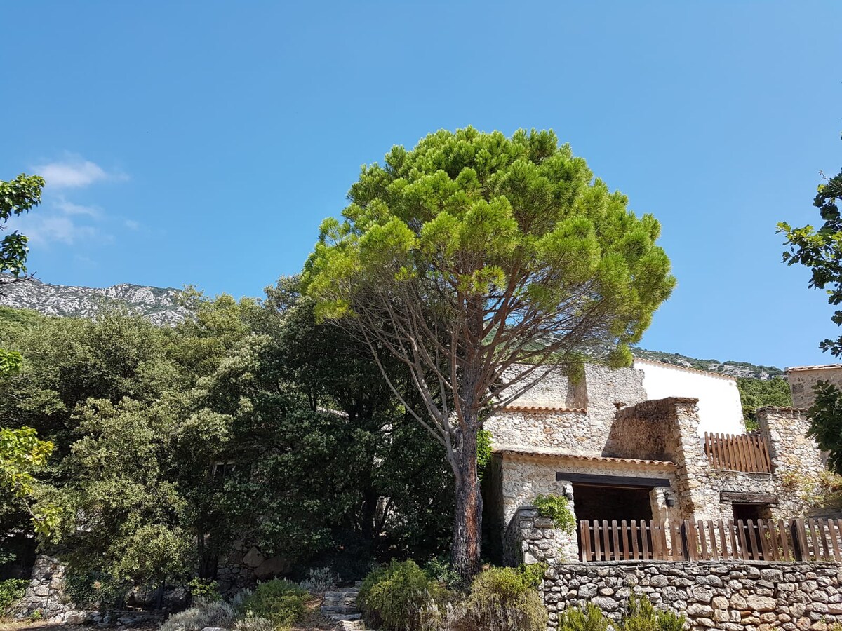 Grande maison en pierre au calme avec piscine