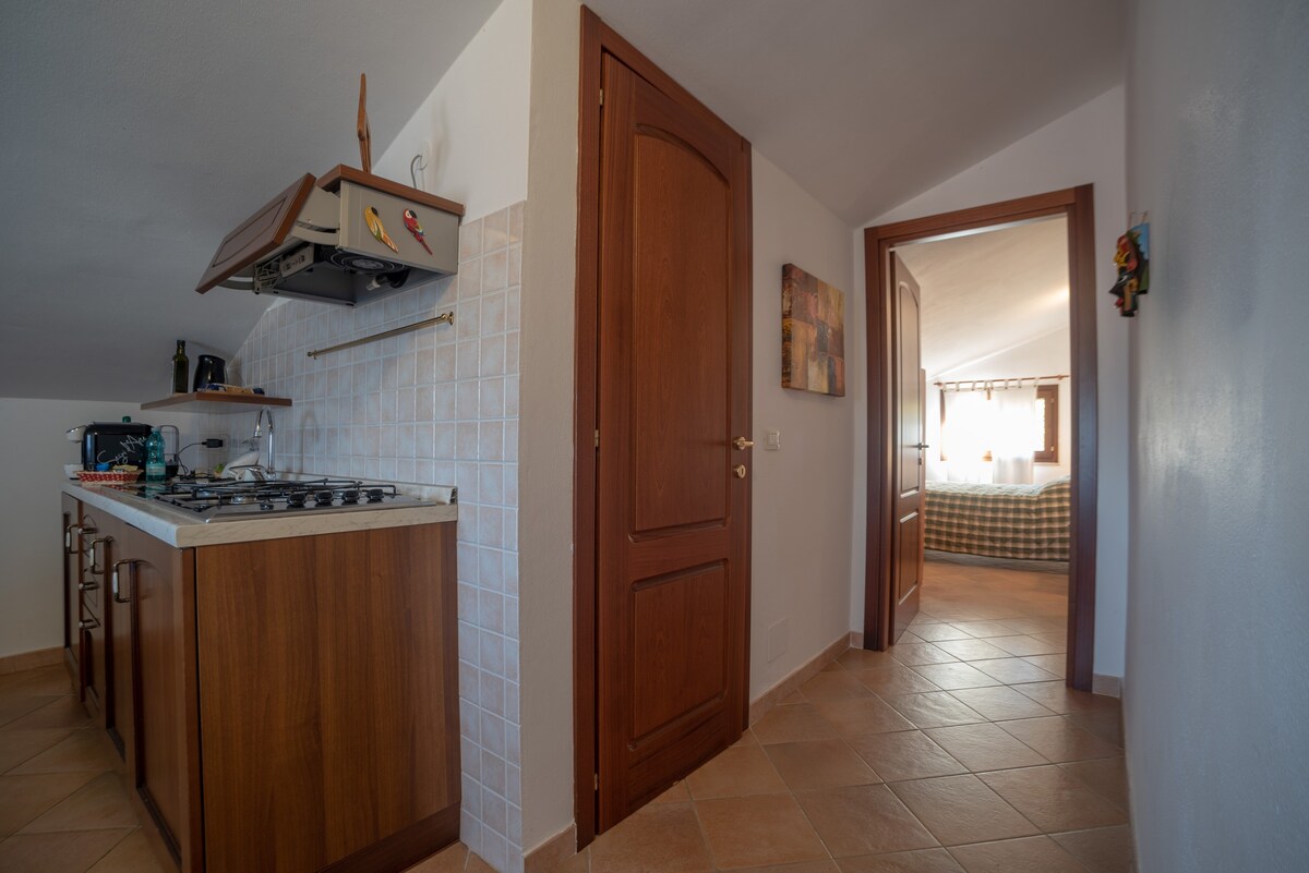 One Bedroom Apartment Attic