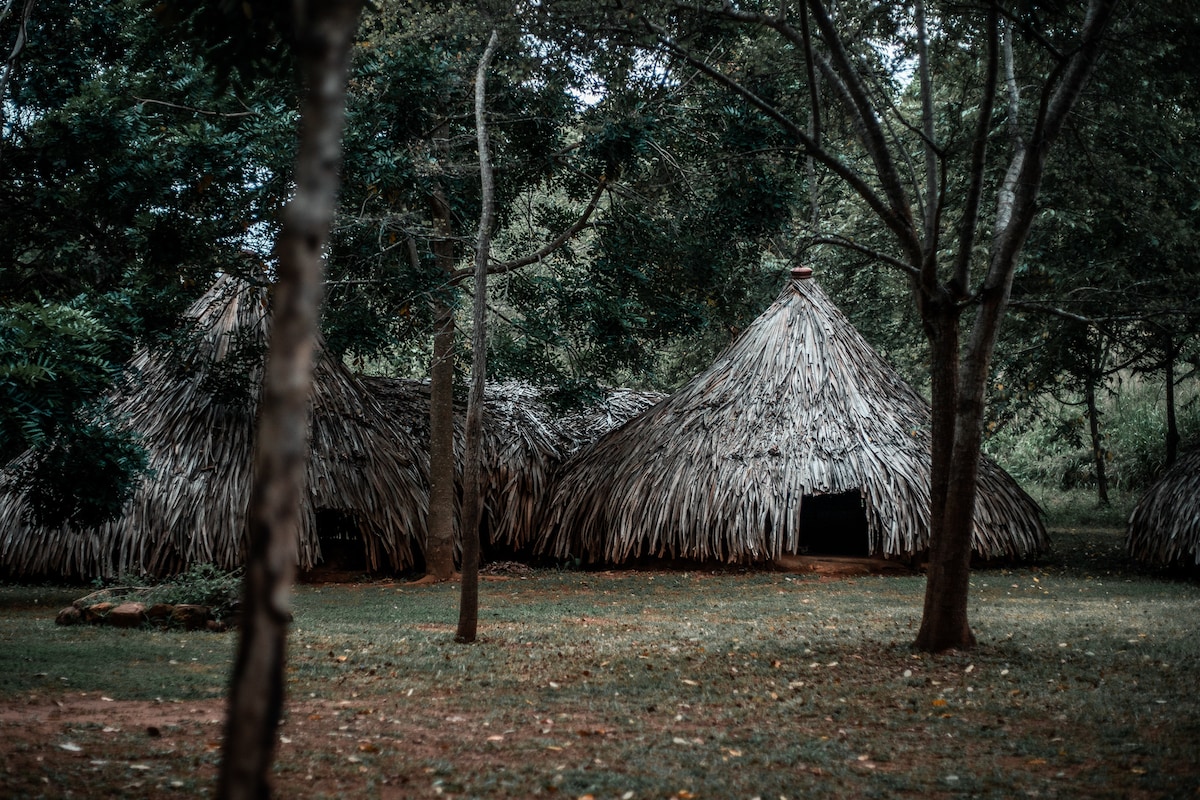 Banyan Camp