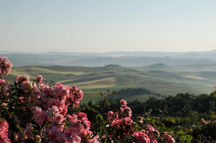 蒙达奇诺 (Montalcino)的民宿