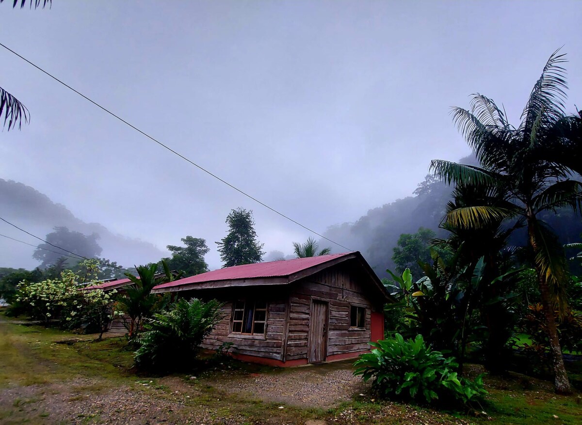 RainForest ： Bromelia客栈- Canto del Tucán Lodge