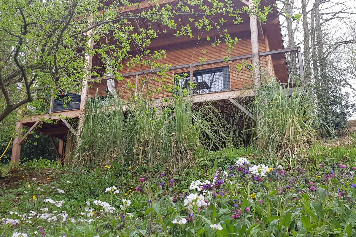 Cabane avec spa Les Hauts de Monségu