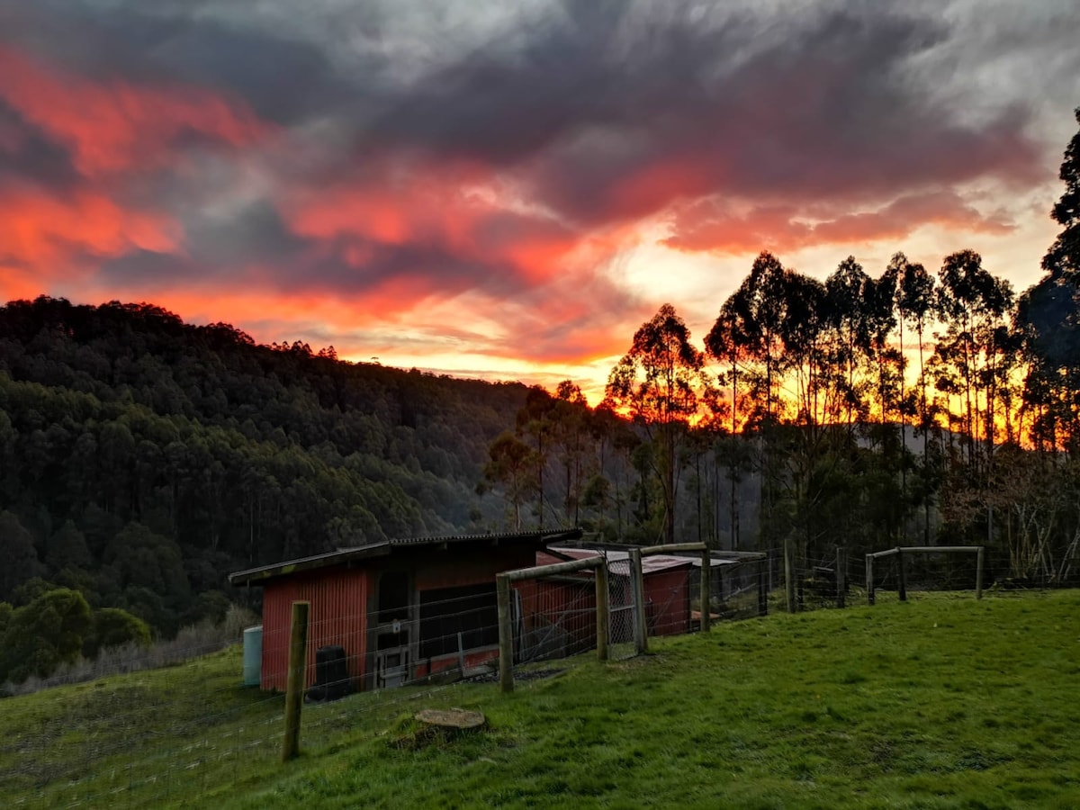 Top Of The Otways - Nature Lodge