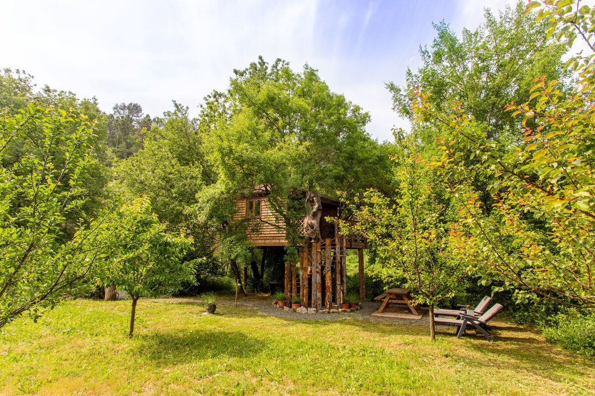 Maisonnette dans les Tree "Les Lavandins"