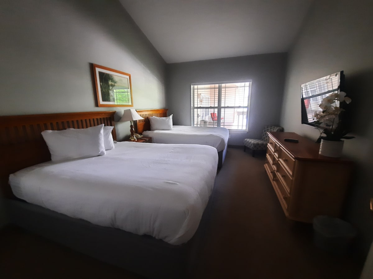 320-带2张标准双人床的单卧室公寓套房