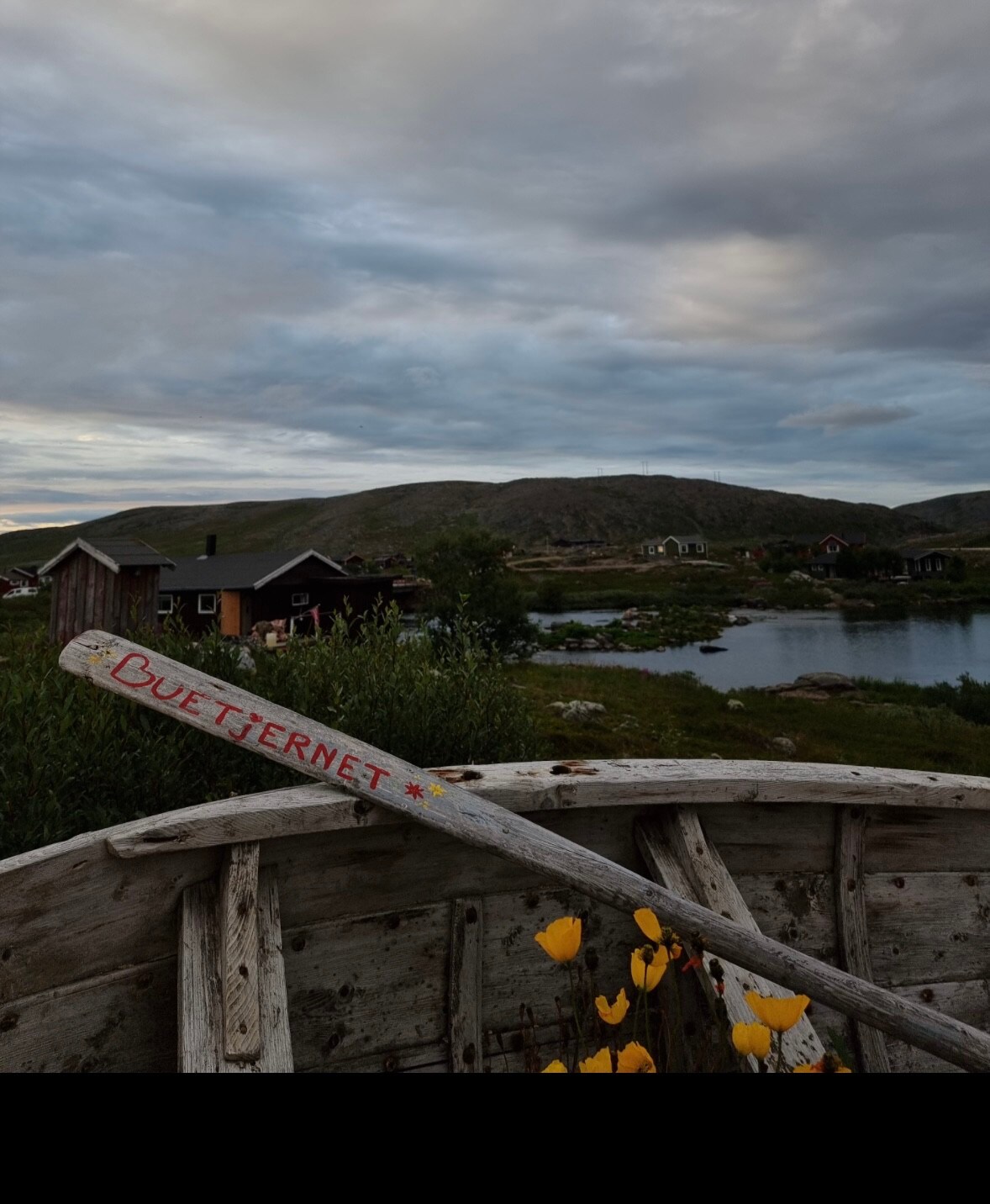 Fjellheimen i nærheten av lakse-elv