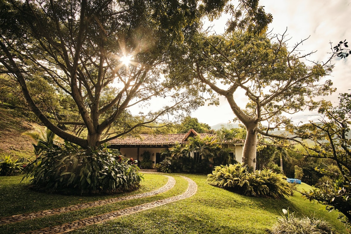 圣埃伦娜公寓的壮观庄园