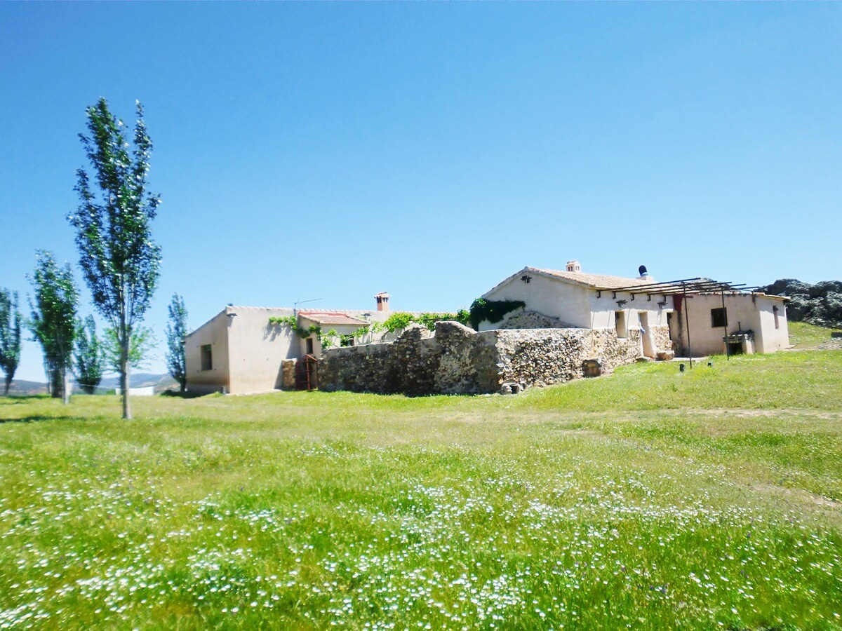 Casa Rural in Piedrabuena