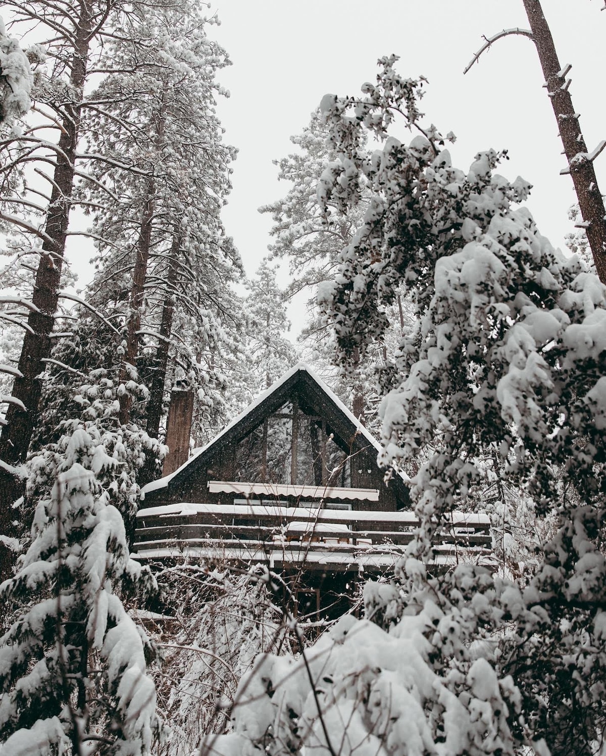 Whiskey Creek Cabin