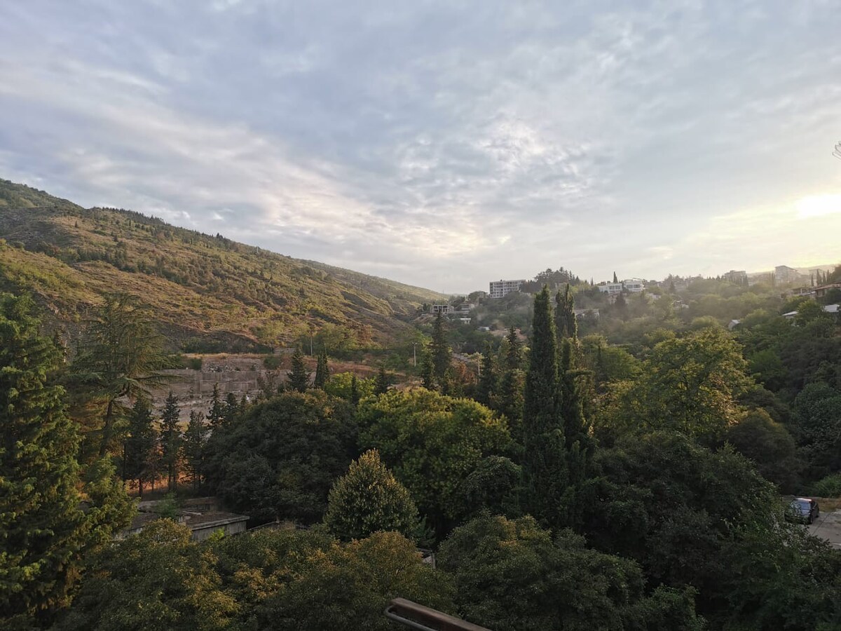 全新舒适公寓，可欣赏山景