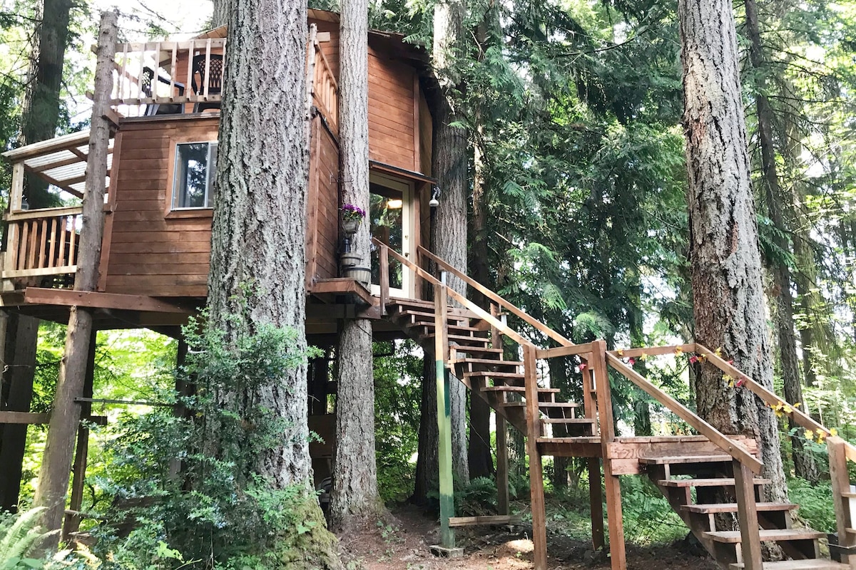 AirBnTree at Adams Cove