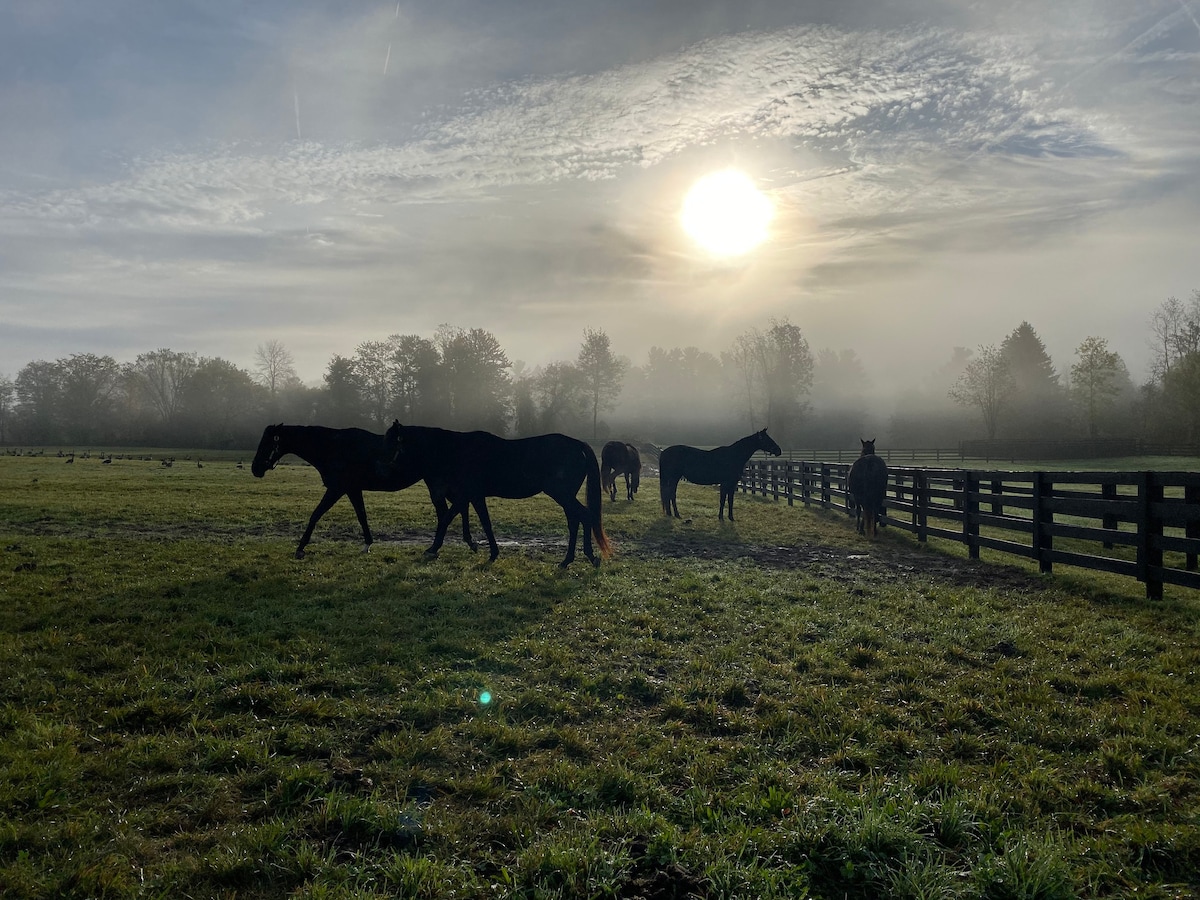 新建的3居室- Thoroughbred Farm & Lake Views ！