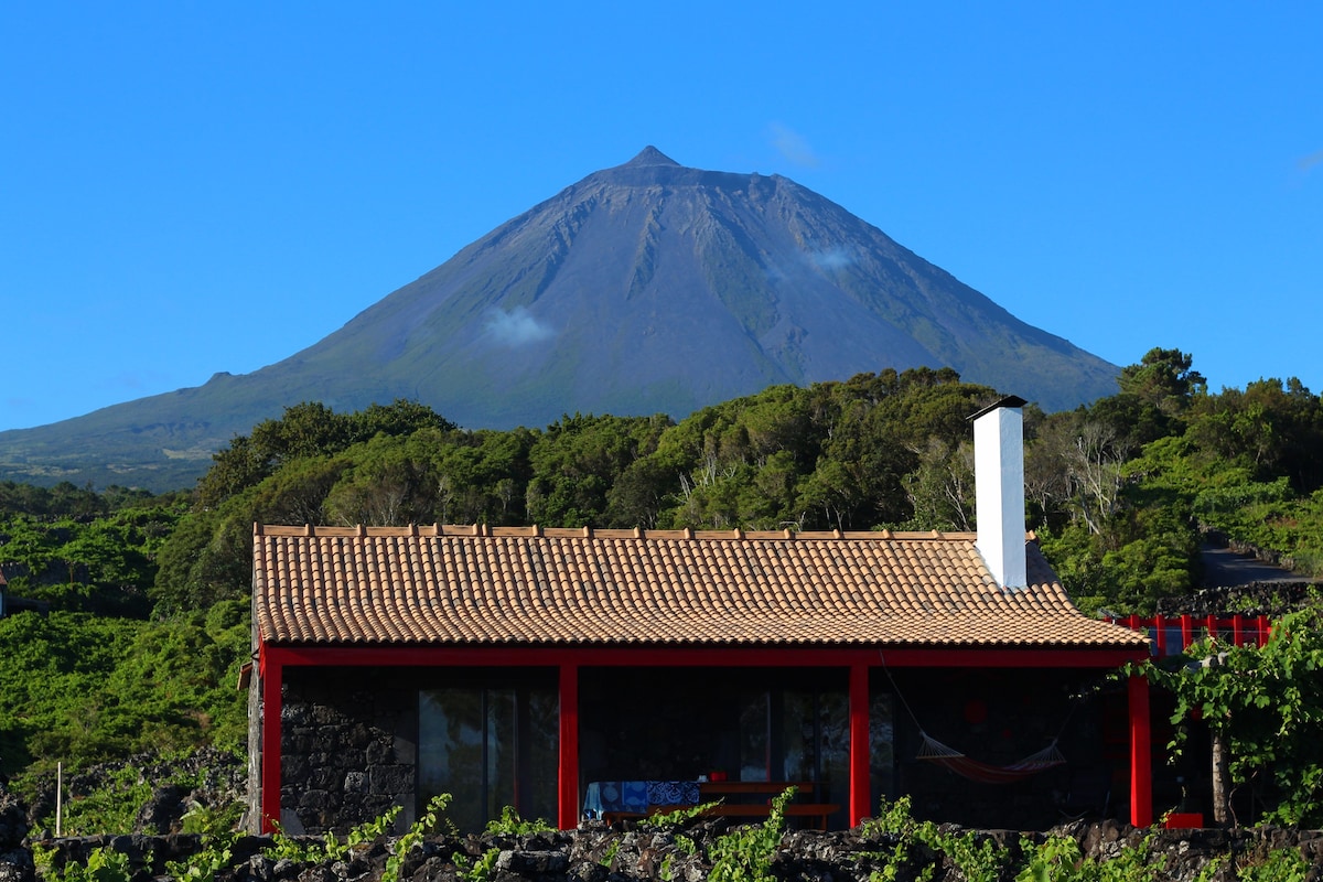 Adega Fraga - Cabrito Ilha do Pico Açores