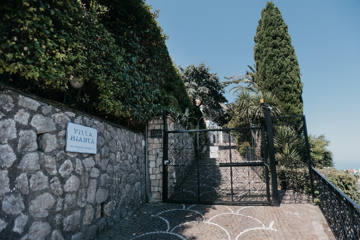 Villa Bianca Sorrento Amalficoast景观，可欣赏泳池，健身房