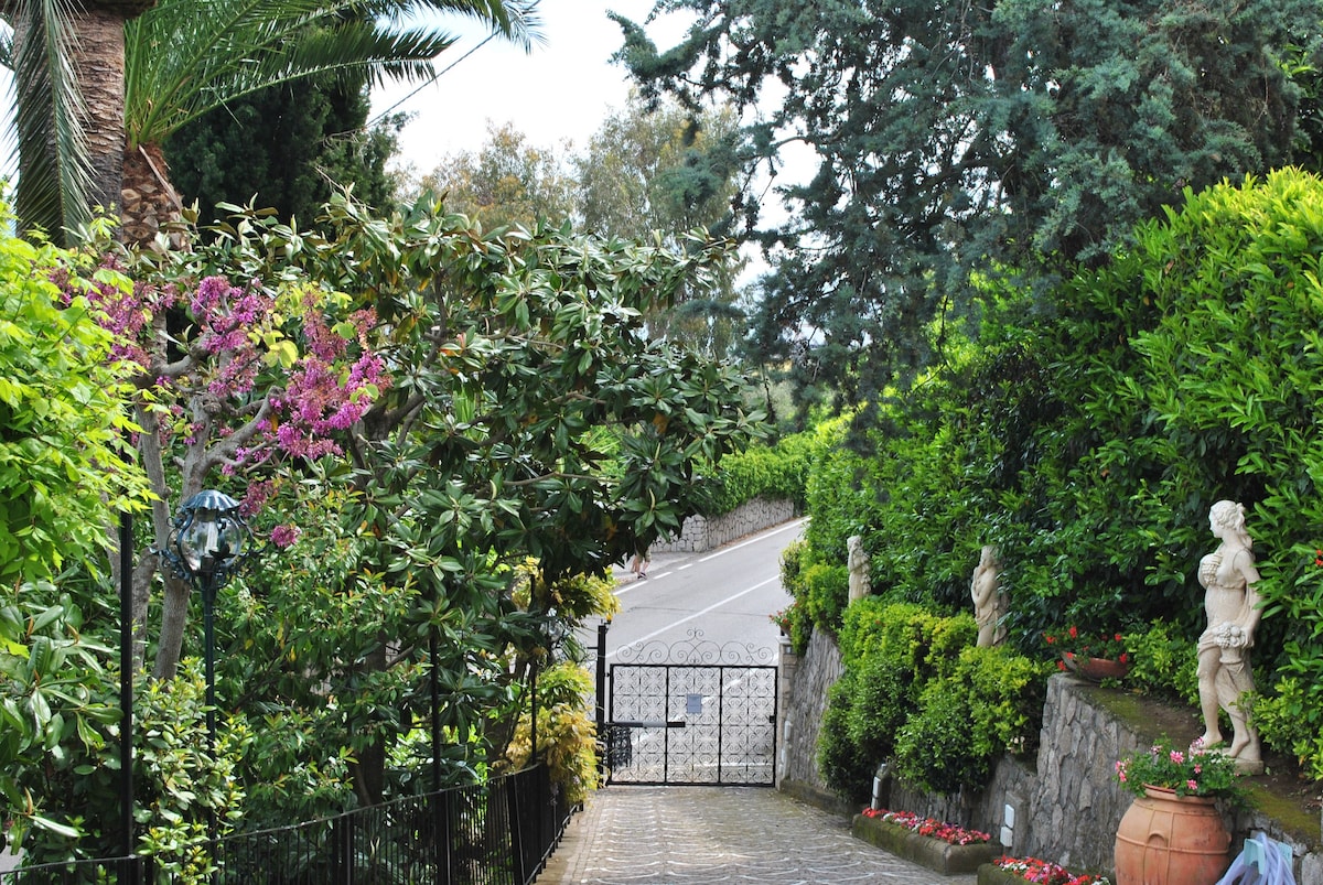 Villa Bianca Sorrento Amalficoast景观，可欣赏泳池，健身房