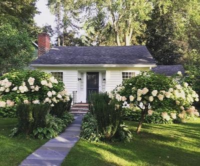 The Cottage on Sylvester Street