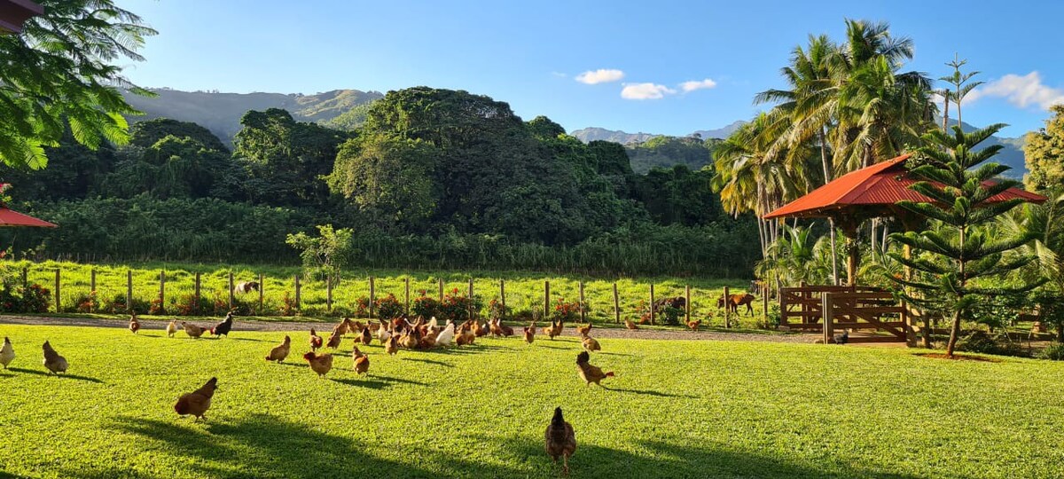 Hacienda del Río, Bonao - Casa doña Celia Eco Farm