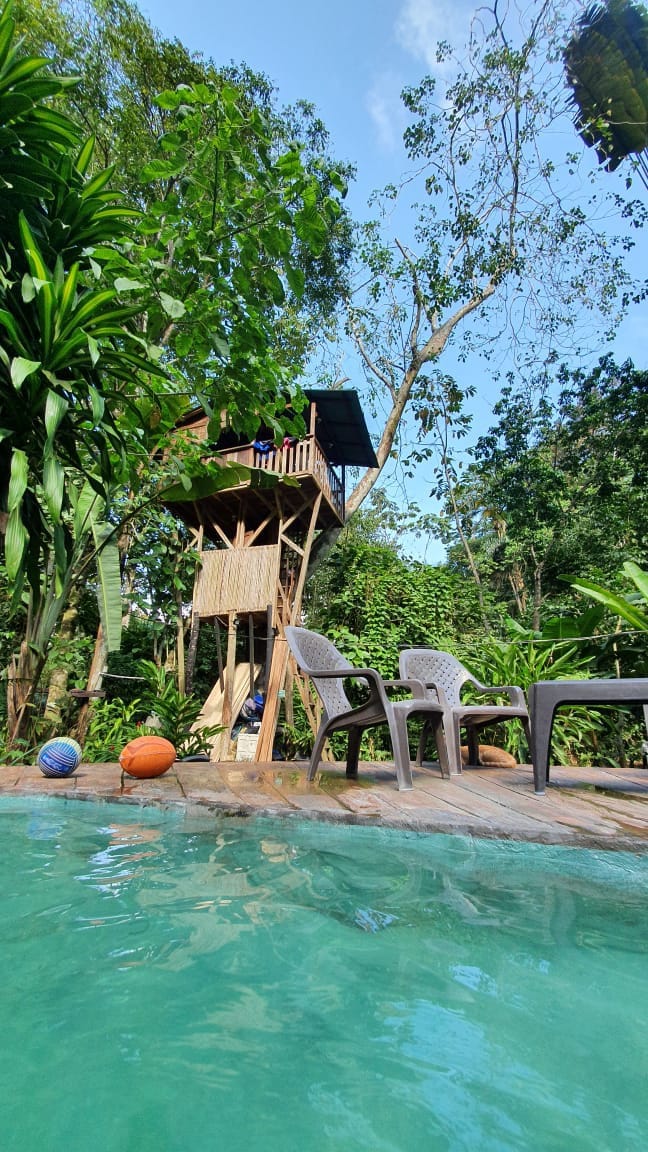 塞巴（ Ceiba ） ：树屋（ Treehouse ）、树岗（ Treegana ）旅舍