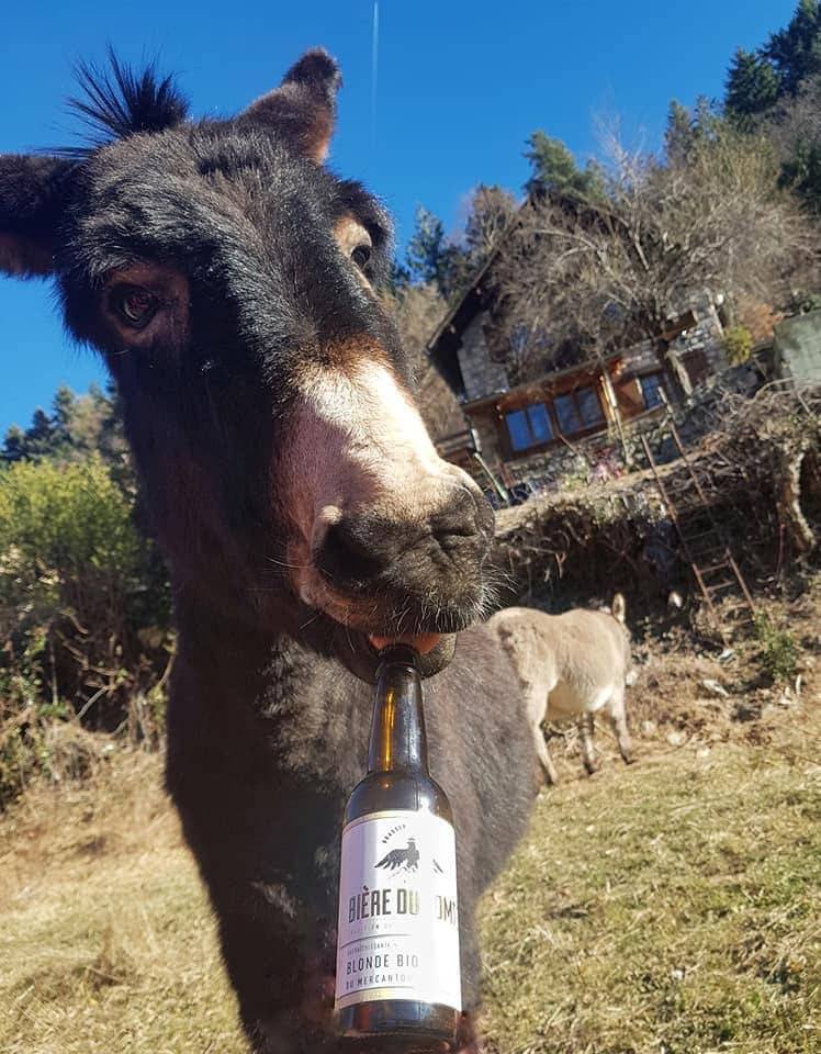 Grange cosy avec vue dans le Mercantour