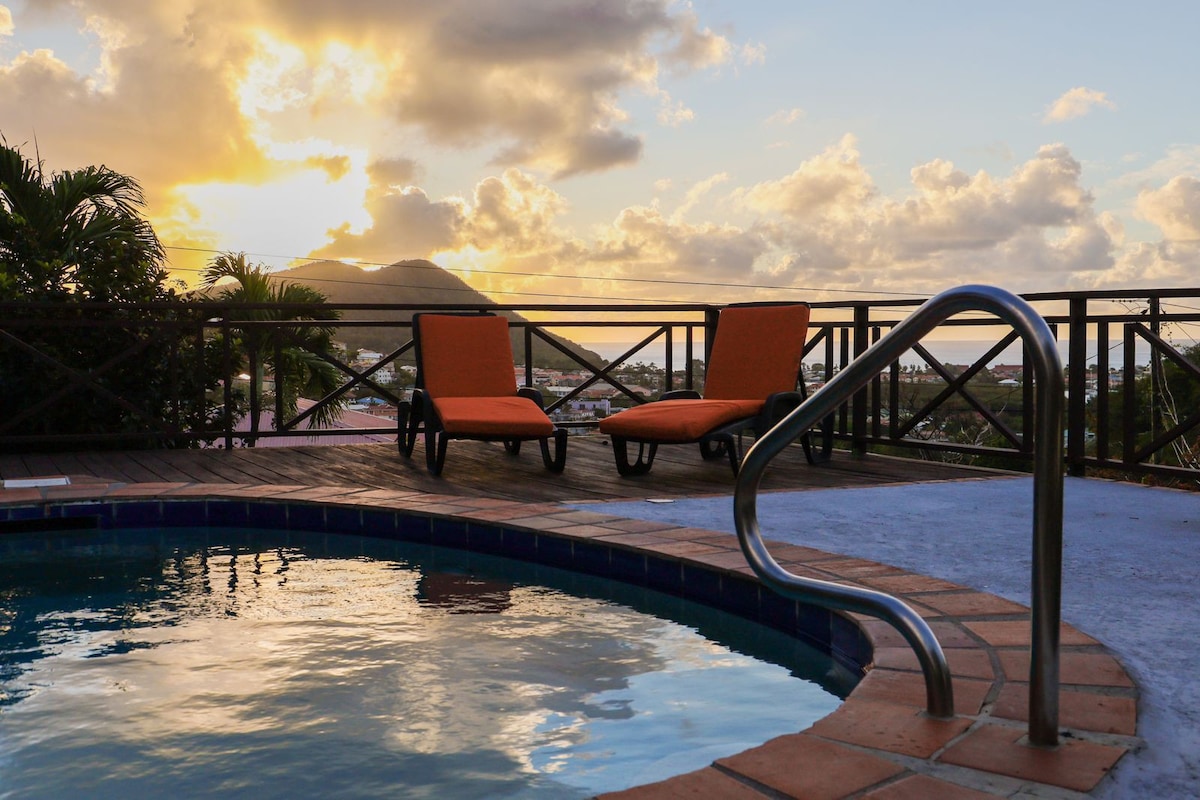 Pool with ocean view! Tranquil charming villa