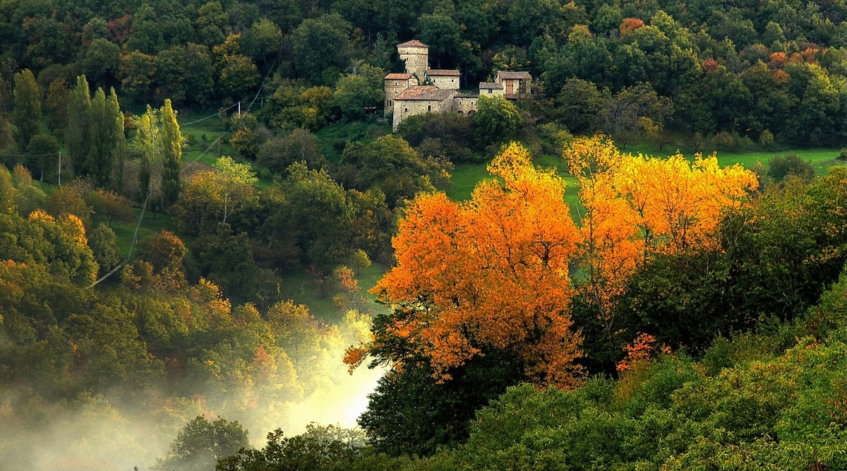 The Tower in Borgo Fontanini