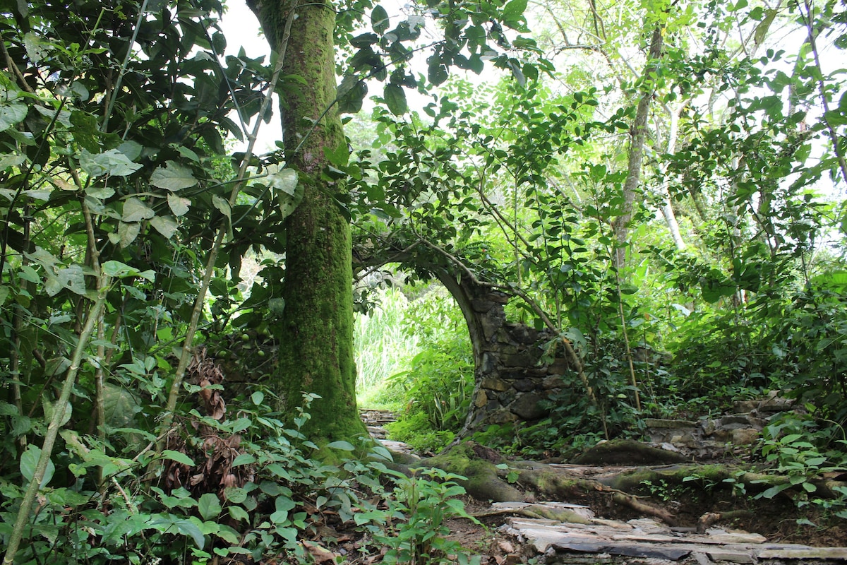 La Huerta de Doña Elvia