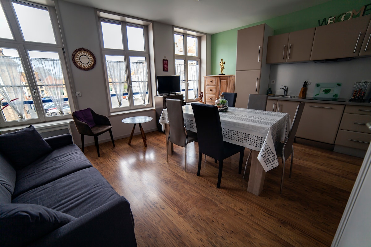 Gîte Prairie (55M2)  Bergues centre