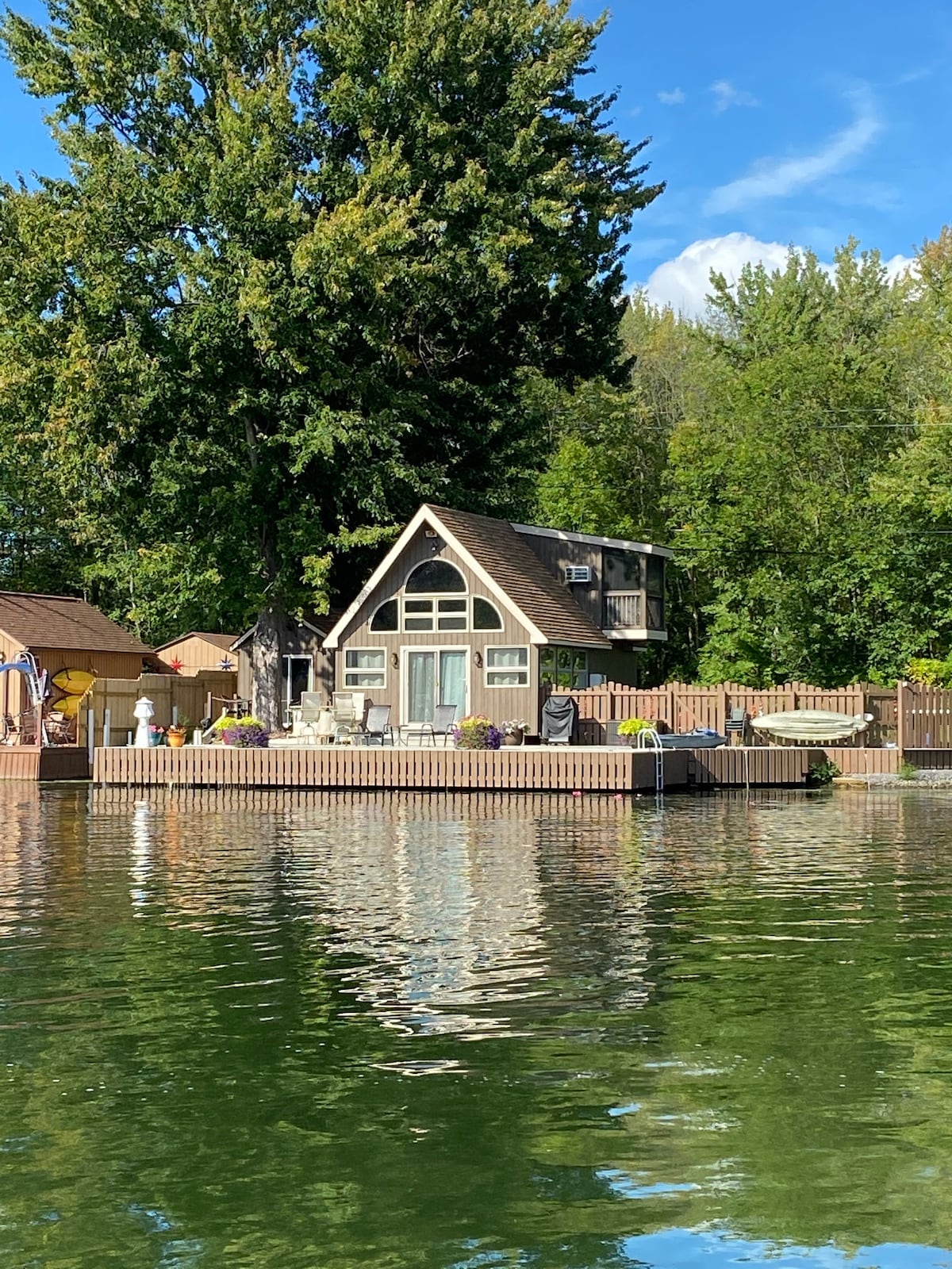 Eagles Landing on the Oneida River