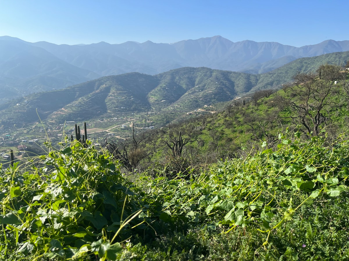 在Loma de las Maravillas 100%放松身心