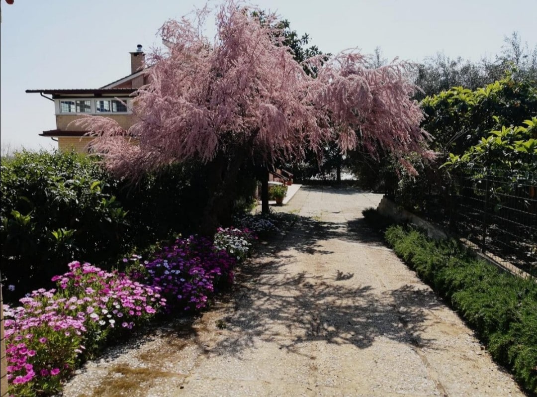 Casa Noemi ，湖景和海景