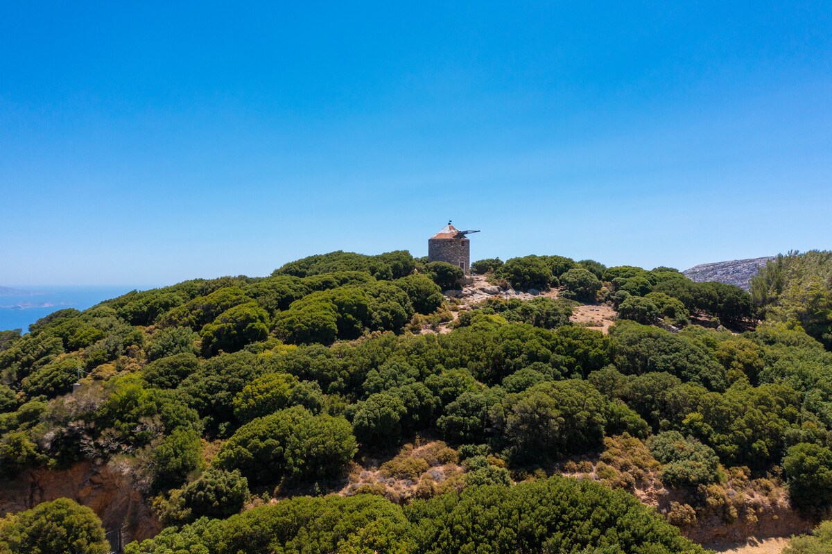 Pagalon, in Apiranthos Village