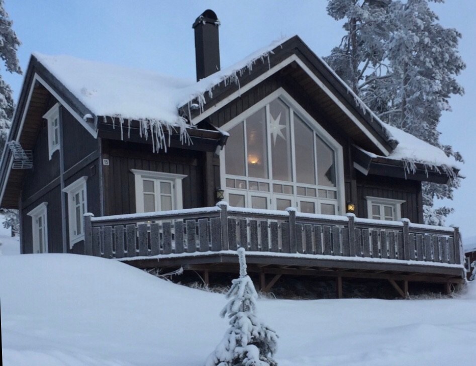 位于Lemonsjøen的Jotunheimen滑雪出入小木屋