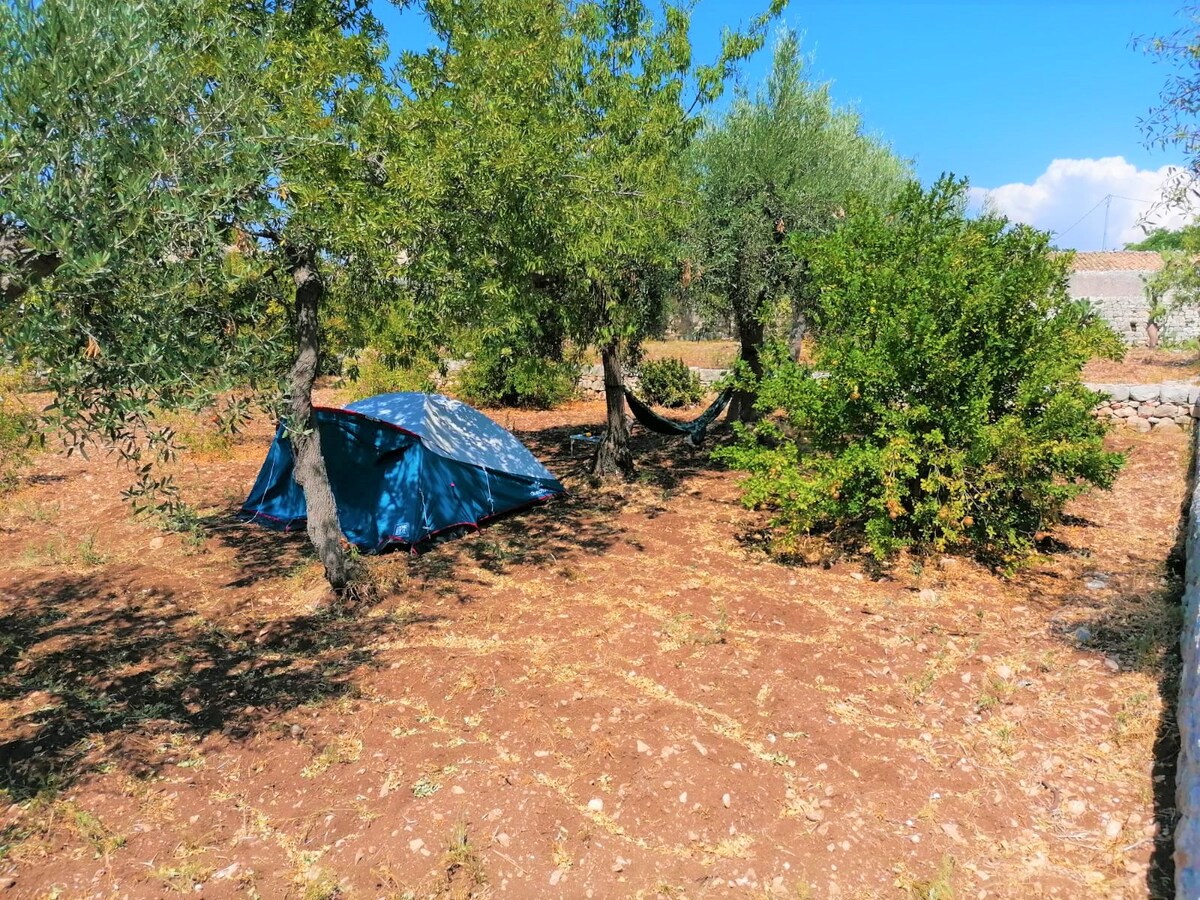 每个帐篷的露营帐篷/Piazzola - Ulivo 1