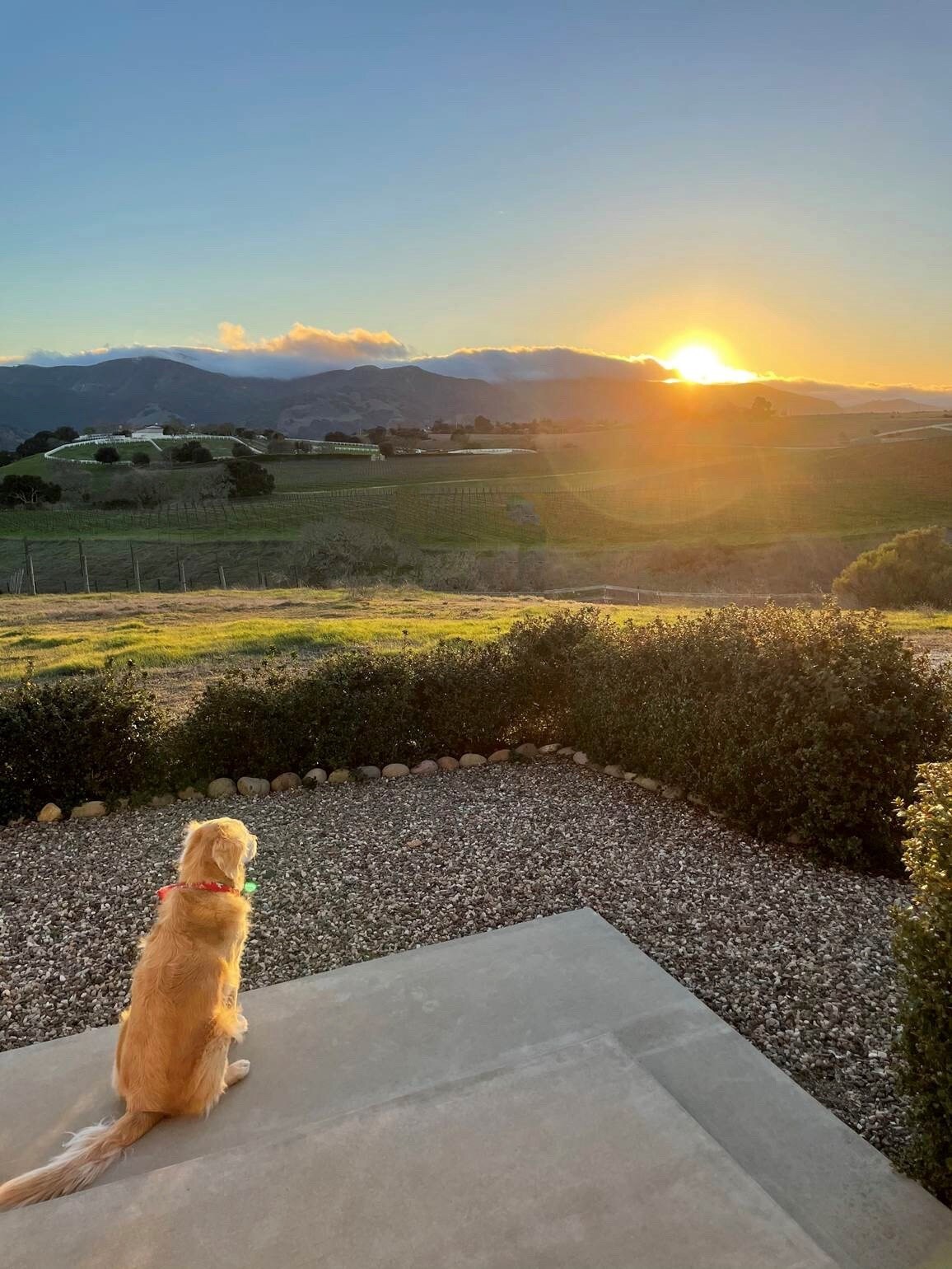 Wine Country Retreat on 20 Ac. Estate