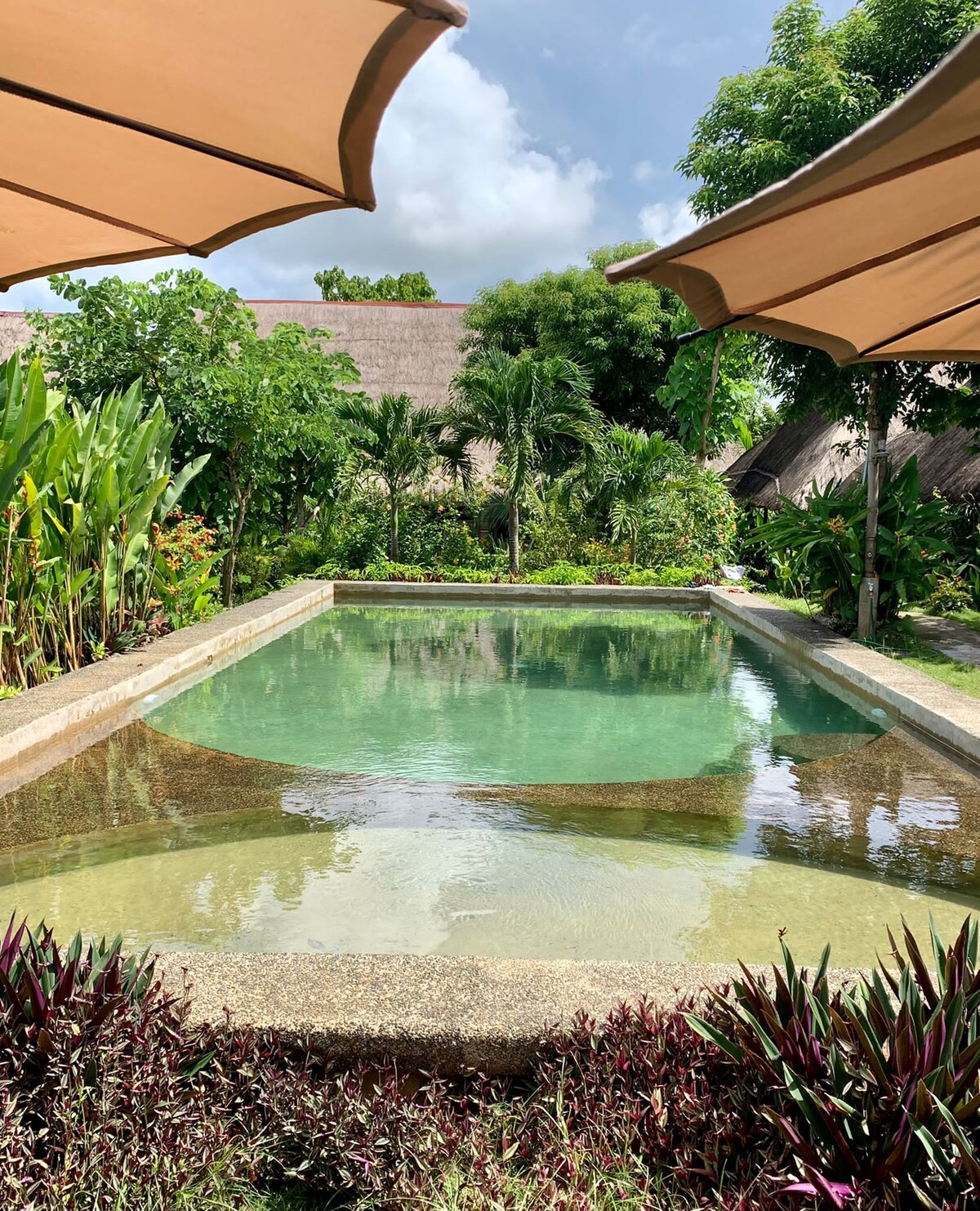 Private room in lush garden with  pool