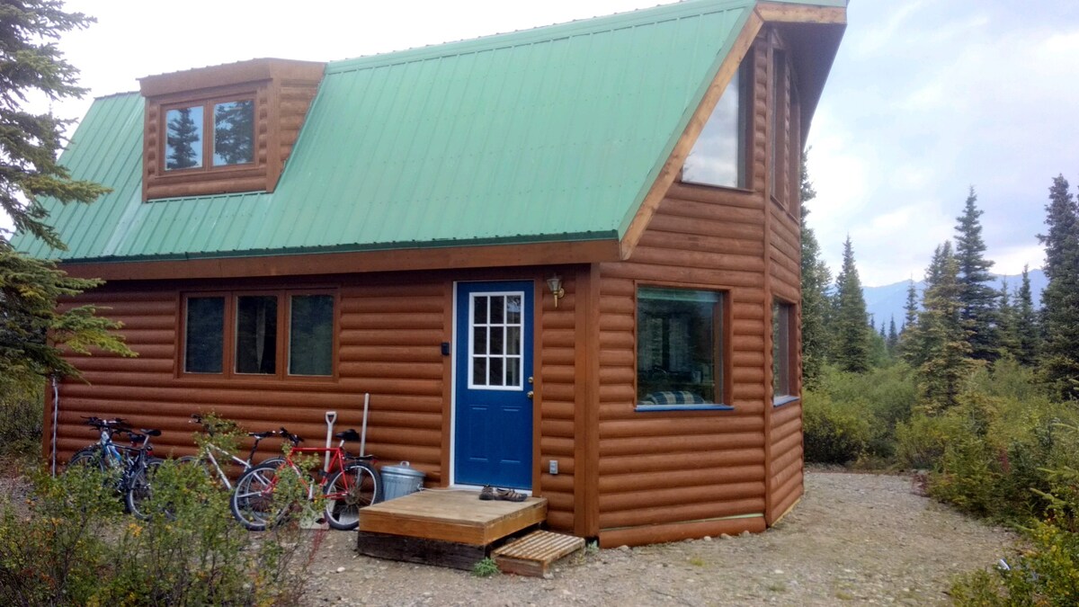 Denali-View Alaskan Cabin ：独木舟、自行车、飞鱼。